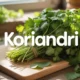 koriandri